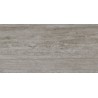 Travertino Silver Polished 60x120