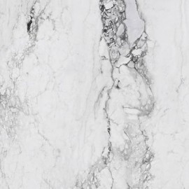 Medicea Marble White Matt 120x120 Medicea Marble White Matt 120x120