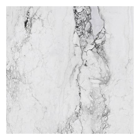 Medicea Marble White Matt 120x120