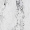 Medicea Marble White Matt 120x120