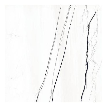 Venato Marble White 120x120