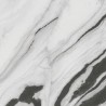 Panda Marble Polished 120x120
