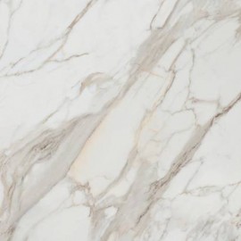 Calacatta Gold White Gloss 120x120 Calacatta Gold White Matt 120x120