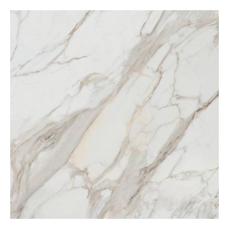 Calacatta Gold White Matt 120x120