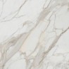 Calacatta Gold White Matt 120x120