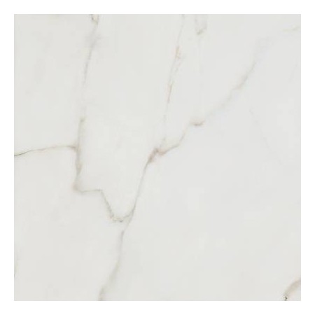 Calacatta Africa White Matt 120x120