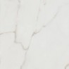 Calacatta Africa White Matt 120x120