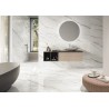 Calacatta Africa White Matt 120x120