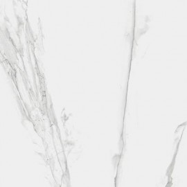 Carrara Grey 120x120 Carrara Grey 120x120