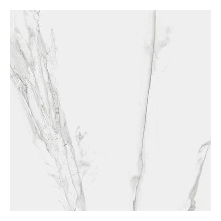 Carrara Grey 120x120