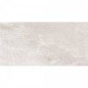 Delta 30x60 Beige Matt