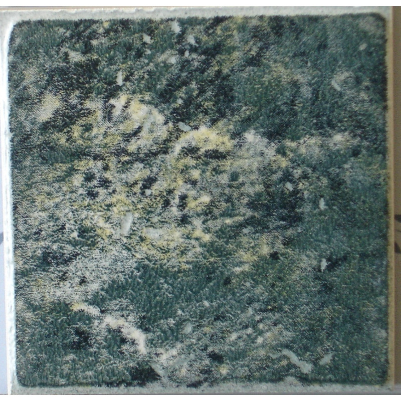 MARMI VERDE ALPI 10X10CM