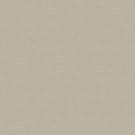 Saloni Proyeccion Gris 60x60 (B25) (LAP279M) Sal Proyeccion Gris 60x60