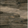 Bali Stone 100x100 R11