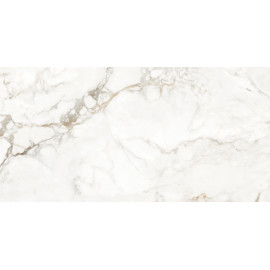 CARPECIA GOLD 60x120