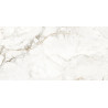 CARPECIA GOLD 60x120