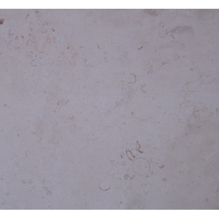 Crema Luna Limestone