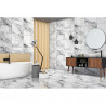 MARMARA ICE WHITE POLISHED 60X60