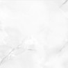Silk Onyx Grey 60x120