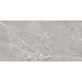 Saloni Toscana Gris Matt Porcelain Tile 60x120cm