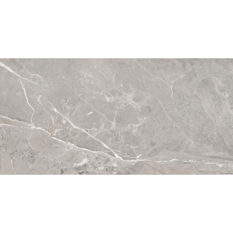 Saloni Toscana Gris Matt Porcelain Tile 60x120cm