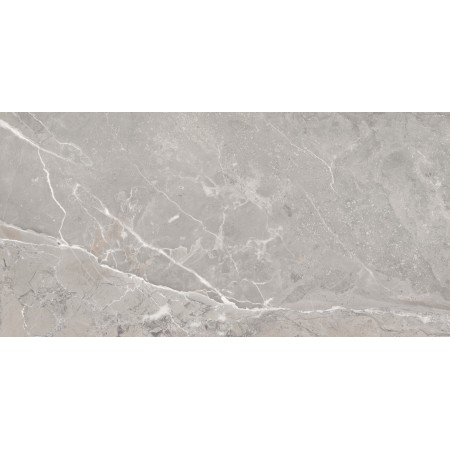 Saloni Toscana Gris Matt Porcelain Tile 60x120cm