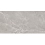 Saloni Toscana Gris Matt Porcelain Tile 60x120cm
