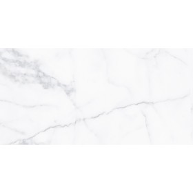 Alpi White 30x60 Polished Porcelain Alpi White 30x60 Polished Porcelain