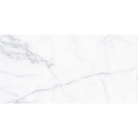 Alpi White 30x60 Polished Porcelain