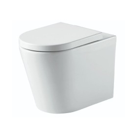 Ferrara Plus Rimless Back To Wall D Shape Toilet Pan And Seat Ferrara Plus Rimless Back To Wall D Shape Toilet Pan And Seat