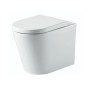 Ferrara Plus Rimless Back To Wall D Shape Toilet Pan And Seat