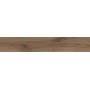 Woodgrain Roble 20×120 cm Porcelain Wood-Effect Tile