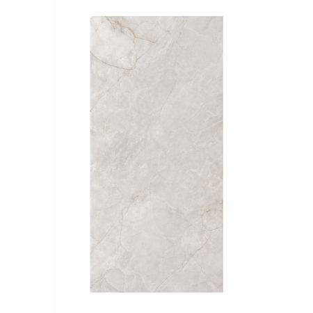 Silver Dune 60×120 Porcelain Gloss
