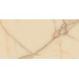 Onyx Beige 60×120 Gloss Porcelain Tile