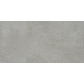 Menhir Gris 30x60 (B24) (LAP199M) Salc