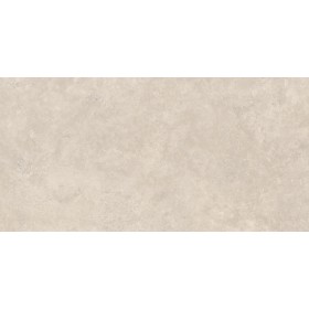 Timeless Greige Aged 60x120