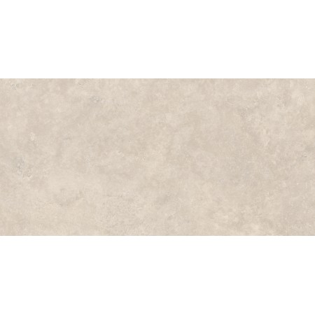 Timeless Greige Aged 60x120