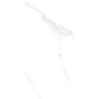 Carrara Dream Gloss White Marble Effect Porcelain Wall Tile 30x60mm