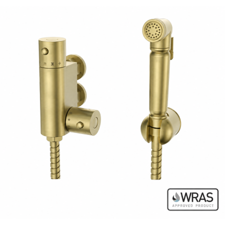 Brushed Brass Thermostatic Douche Kit with Spray Head & 1.5m Hose