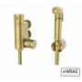 Brushed Brass Thermostatic Douche Kit with Spray Head & 1.5m Hose