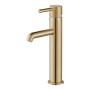 Chepstow Freestanding Mono Mixer Tap - Brushed Brass