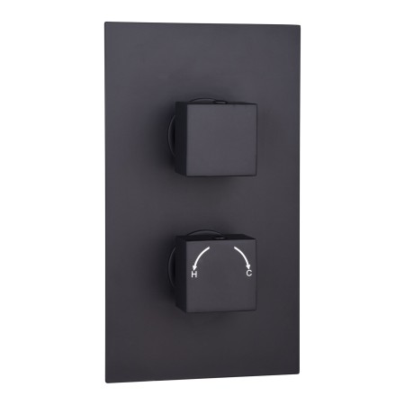 Square Concealed Thermostatic 2 Handle 2 Way Shower Valve - Black