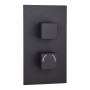 Square Concealed Thermostatic 2 Handle 2 Way Shower Valve - Black