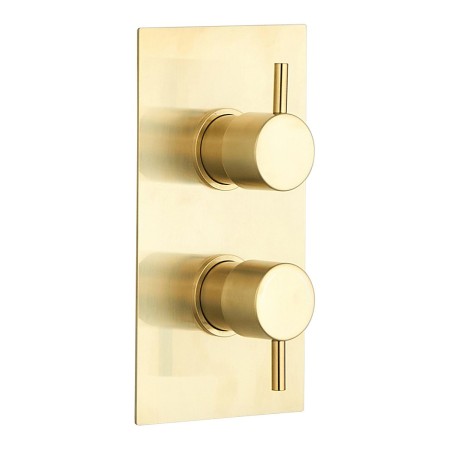 Round Concealed Thermostatic 2 Handle 2 Way Shower Valve - Brushed Brass