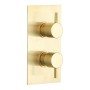 Round Concealed Thermostatic 2 Handle 2 Way Shower Valve - Brushed Brass