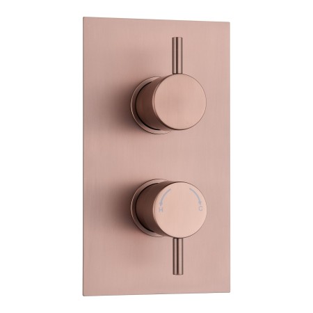 Round Concealed Thermostatic 2 Handle 2 Way Shower Valve - Brushed Bronze