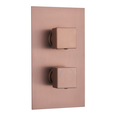 Square Concealed Thermostatic 2 Handle 2 Way Shower Valve - Brushed Bronze