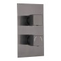 Square Concealed Thermostatic 2 Handle 2 Way Shower Valve - Gunmetal