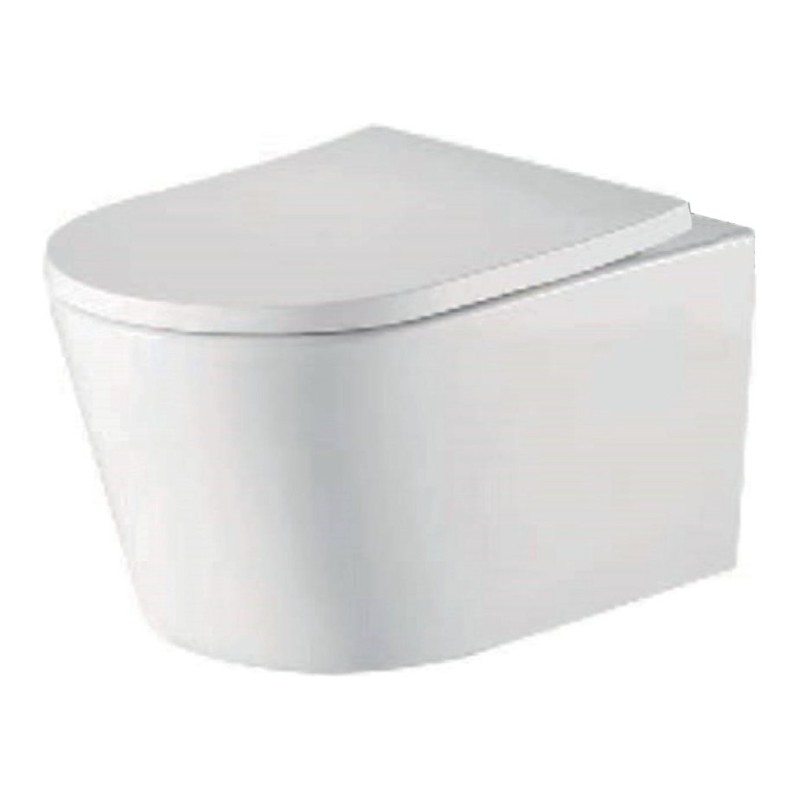 Ferrara Plus Wall Hung Rimless Back to Wall D Shape Ceramic Toilet - White