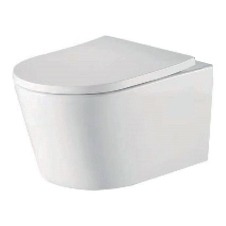Ferrara Plus Wall Hung Rimless Back to Wall D Shape Ceramic Toilet - White